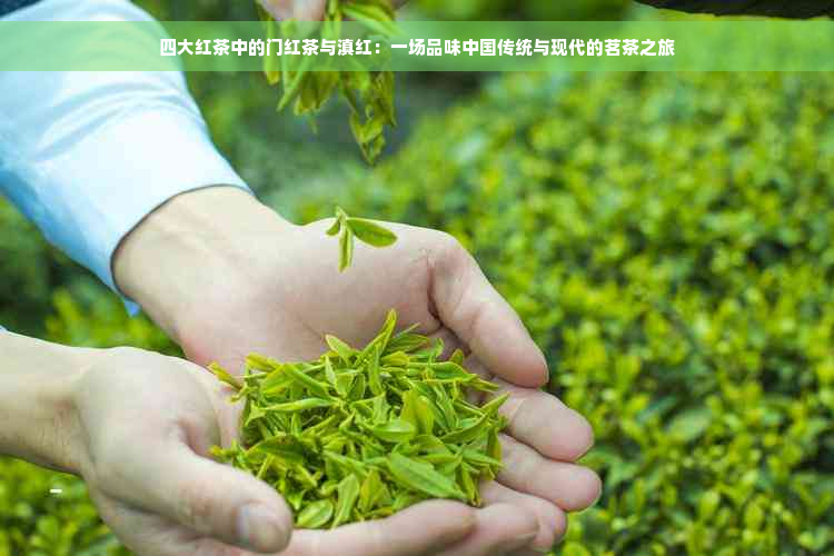 四大红茶中的门红茶与滇红：一场品味中国传统与现代的茗茶之旅