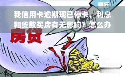 我信用卡逾期现已停卡，利息和贷款买房有无影响？怎么办？