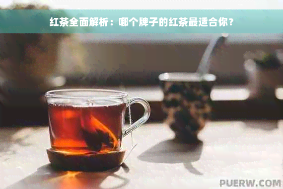 红茶全面解析：哪个牌子的红茶最适合你？