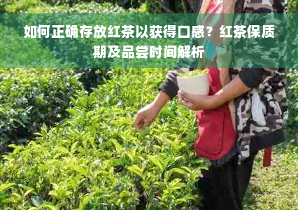 如何正确存放红茶以获得口感？红茶保质期及品尝时间解析