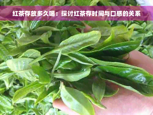 红茶存放多久喝：探讨红茶存时间与口感的关系