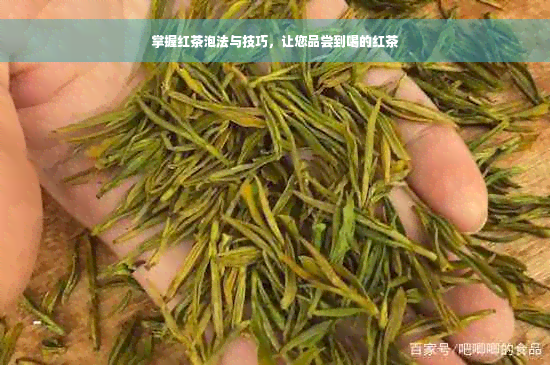 掌握红茶泡法与技巧，让您品尝到喝的红茶