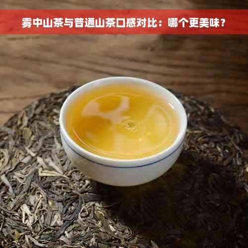 雾中山茶与普通山茶口感对比：哪个更美味？