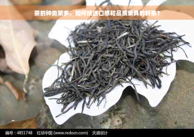 茶的种类繁多，如何挑选口感和品质兼具的好茶？