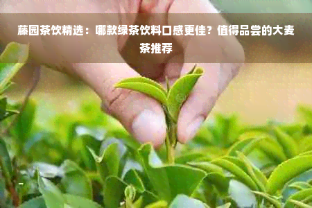 藤园茶饮精选：哪款绿茶饮料口感更佳？值得品尝的大麦茶推荐