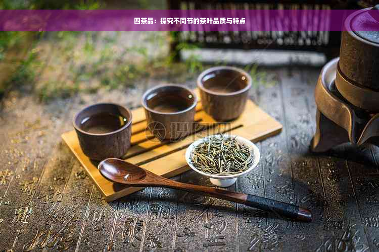 四茶品：探究不同节的茶叶品质与特点