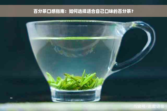 百分茶口感指南：如何选择适合自己口味的百分茶？