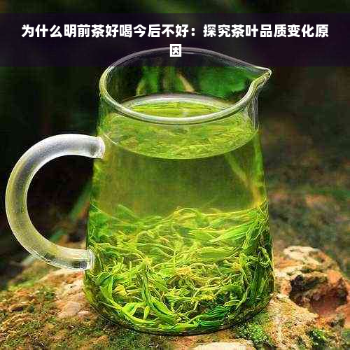 为什么明前茶好喝今后不好：探究茶叶品质变化原因