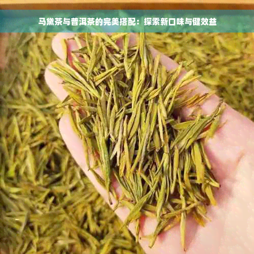 马黛茶与普洱茶的完美搭配：探索新口味与健效益