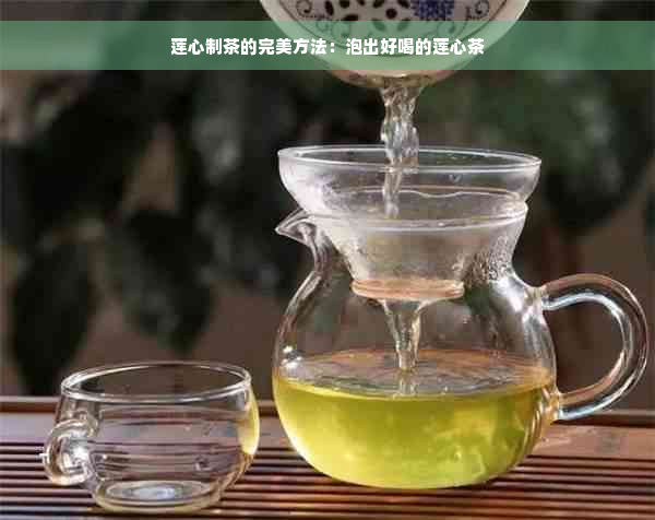 莲心制茶的完美方法：泡出好喝的莲心茶