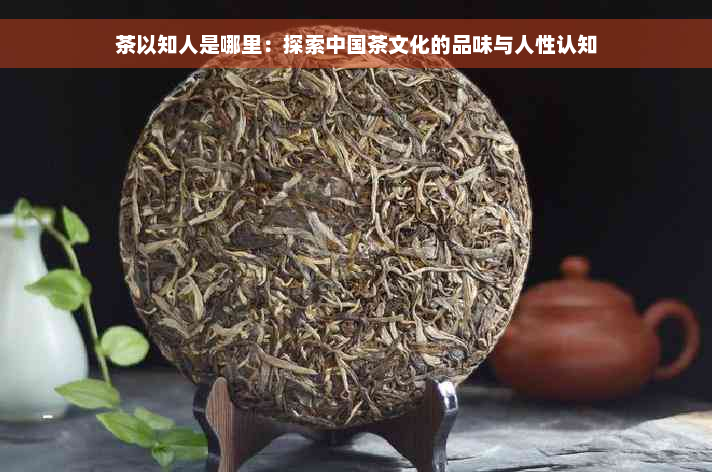 茶以知人是哪里：探索中国茶文化的品味与人性认知