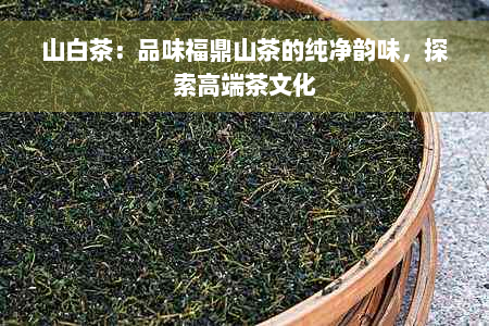 山白茶：品味福鼎山茶的纯净韵味，探索高端茶文化