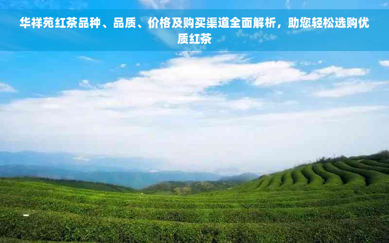 华祥苑红茶品种、品质、价格及购买渠道全面解析，助您轻松选购优质红茶