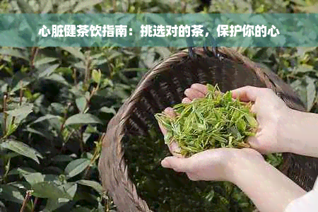 心脏健茶饮指南：挑选对的茶，保护你的心