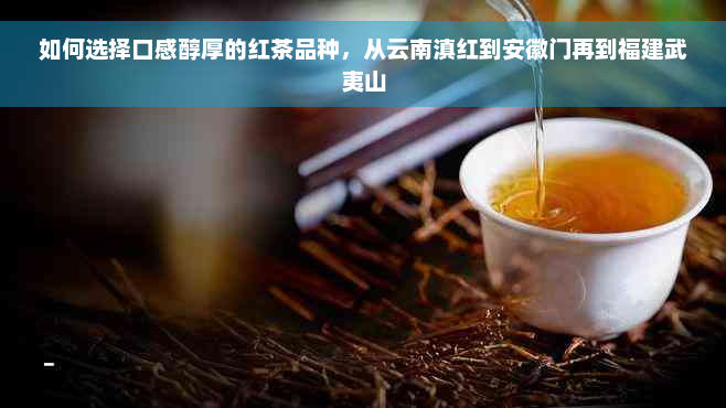 如何选择口感醇厚的红茶品种，从云南滇红到安徽门再到福建武夷山
