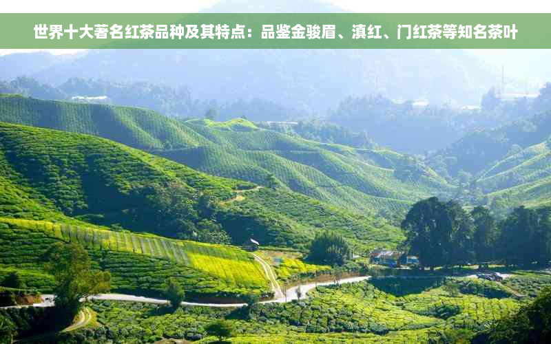 世界十大著名红茶品种及其特点：品鉴金骏眉、滇红、门红茶等知名茶叶