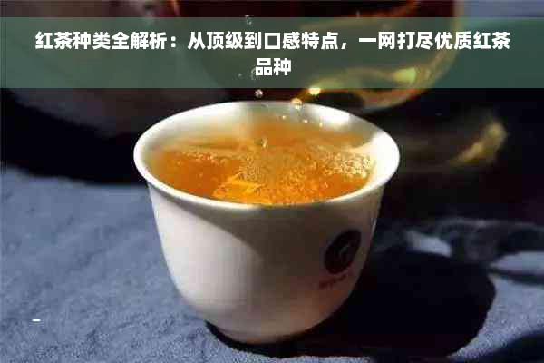 红茶种类全解析：从顶级到口感特点，一网打尽优质红茶品种
