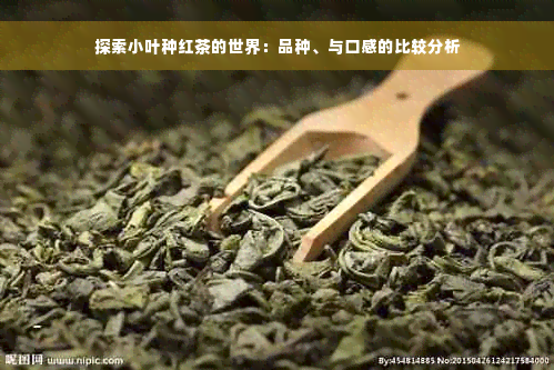 探索小叶种红茶的世界：品种、与口感的比较分析