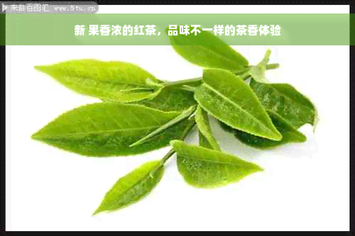 新 果香浓的红茶，品味不一样的茶香体验