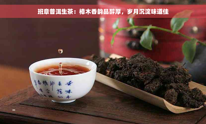 班章普洱生茶：樟木香韵品醇厚，岁月沉淀味道佳