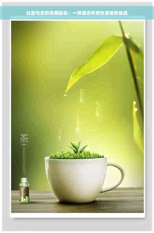 红茶与花的完美融合：一款适合所有饮茶者的佳品