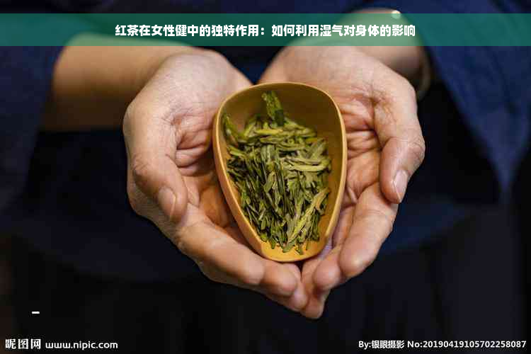 红茶在女性健中的独特作用：如何利用湿气对身体的影响