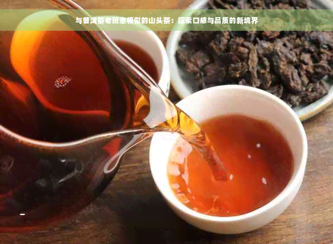 与普洱茶老班章相似的山头茶：探索口感与品质的新境界