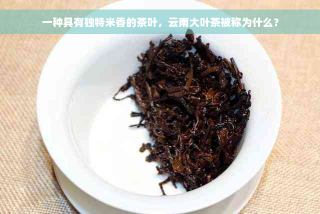 一种具有独特米香的茶叶，云南大叶茶被称为什么？