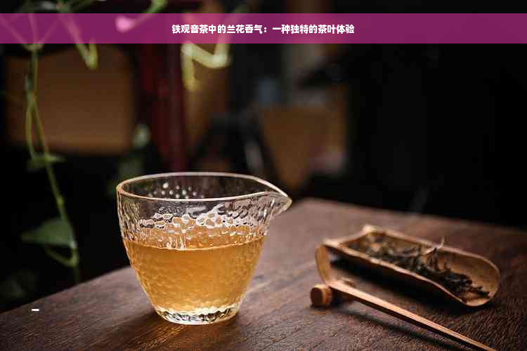 铁观音茶中的兰花香气：一种独特的茶叶体验