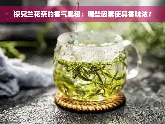 探究兰花茶的香气奥秘：哪些因素使其香味浓？