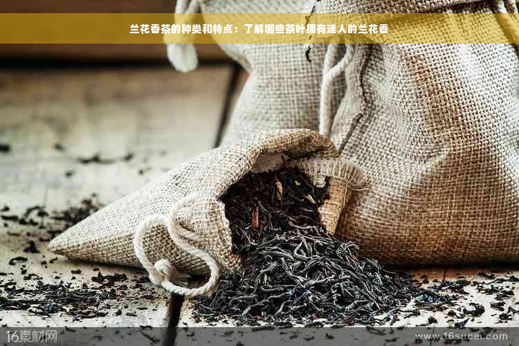 兰花香茶的种类和特点：了解哪些茶叶拥有迷人的兰花香