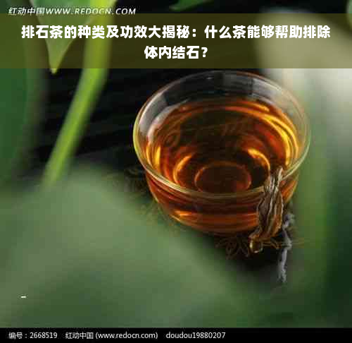 排石茶的种类及功效大揭秘：什么茶能够帮助排除体内结石？