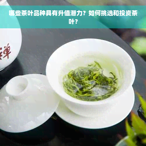 哪些茶叶品种具有升值潜力？如何挑选和投资茶叶？