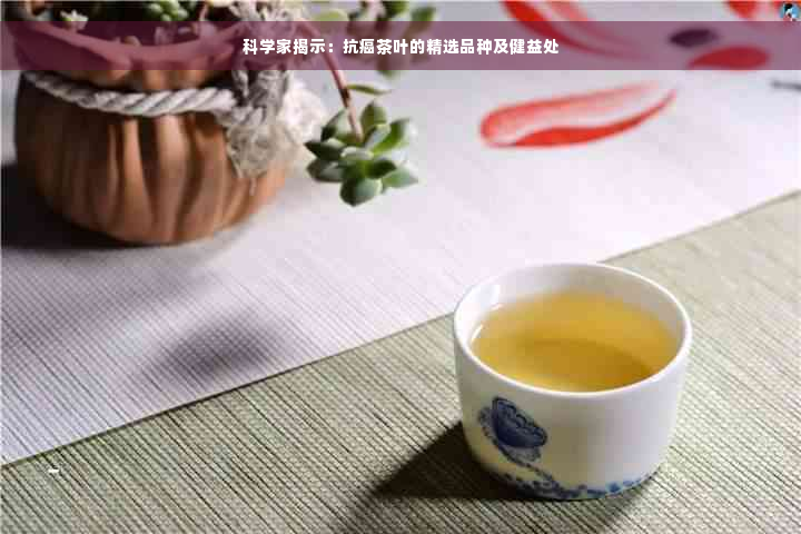 科学家揭示：抗癌茶叶的精选品种及健益处