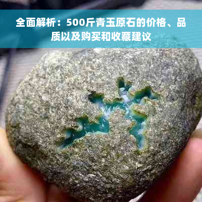 全面解析：500斤青玉原石的价格、品质以及购买和收藏建议