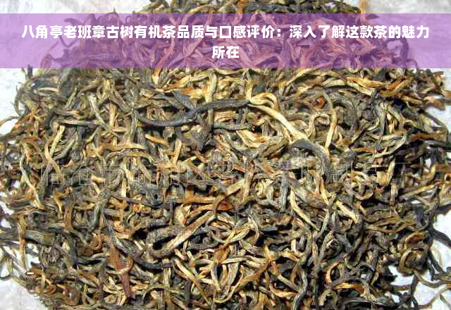 八角亭老班章古树有机茶品质与口感评价：深入了解这款茶的魅力所在