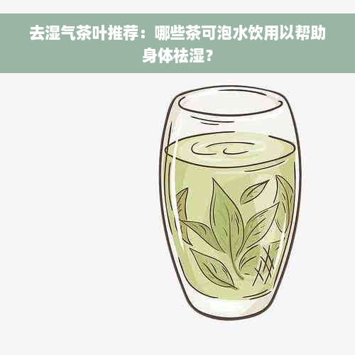 去湿气茶叶推荐：哪些茶可泡水饮用以帮助身体祛湿？