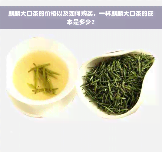 麒麟大口茶的价格以及如何购买，一杯麒麟大口茶的成本是多少？