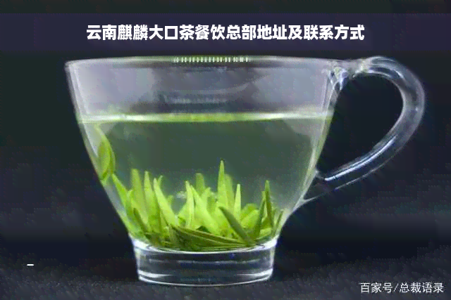 云南麒麟大口茶餐饮总部地址及联系方式