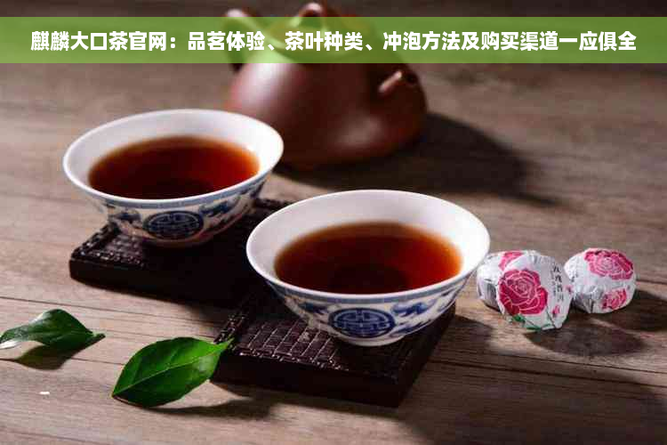 麒麟大口茶官网：品茗体验、茶叶种类、冲泡方法及购买渠道一应俱全