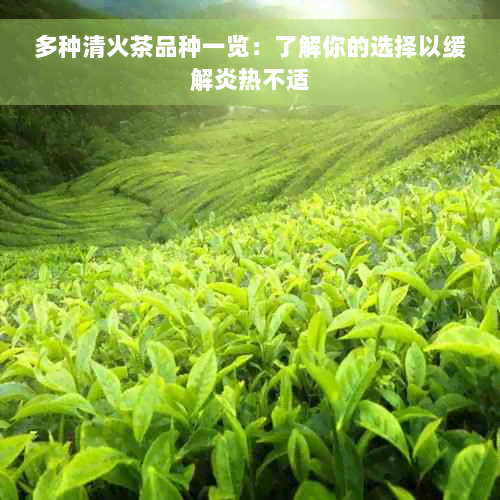 多种清火茶品种一览：了解你的选择以缓解炎热不适