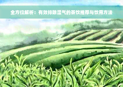 全方位解析：有效排除湿气的茶饮推荐与饮用方法