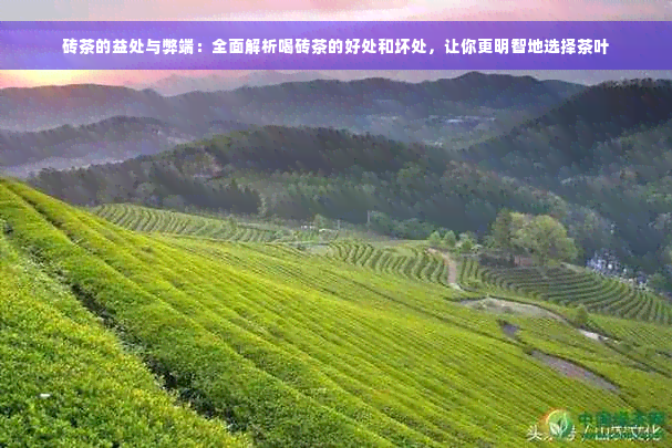 砖茶的益处与弊端：全面解析喝砖茶的好处和坏处，让你更明智地选择茶叶