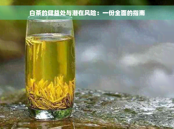 白茶的健益处与潜在风险：一份全面的指南