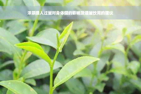 浓茶摄入过量对身体健的影响及适量饮用的建议