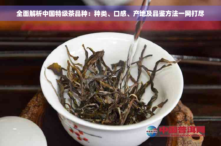 全面解析中国特级茶品种：种类、口感、产地及品鉴方法一网打尽