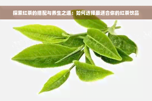 探索红茶的搭配与养生之道：如何选择最适合你的红茶饮品