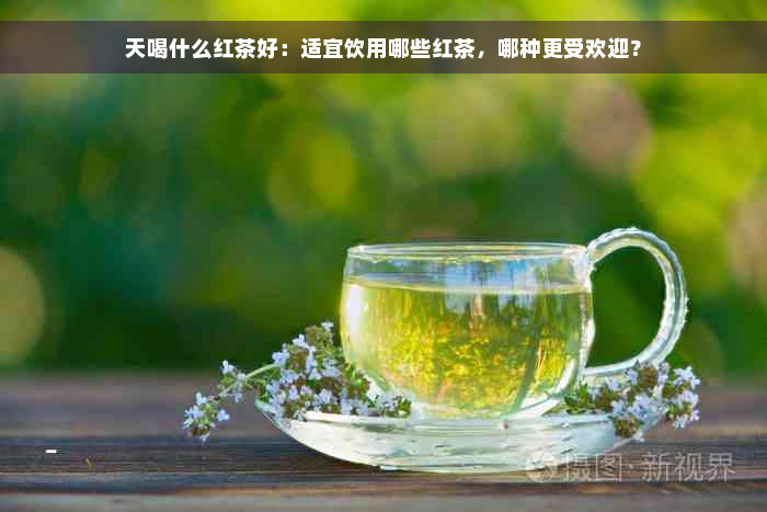 天喝什么红茶好：适宜饮用哪些红茶，哪种更受欢迎？