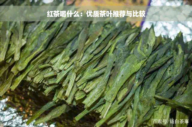 红茶喝什么：优质茶叶推荐与比较