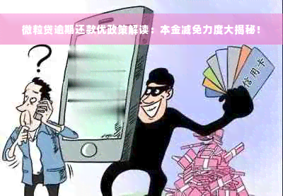 微粒贷逾期还款优政策解读：本金减免力度大揭秘！